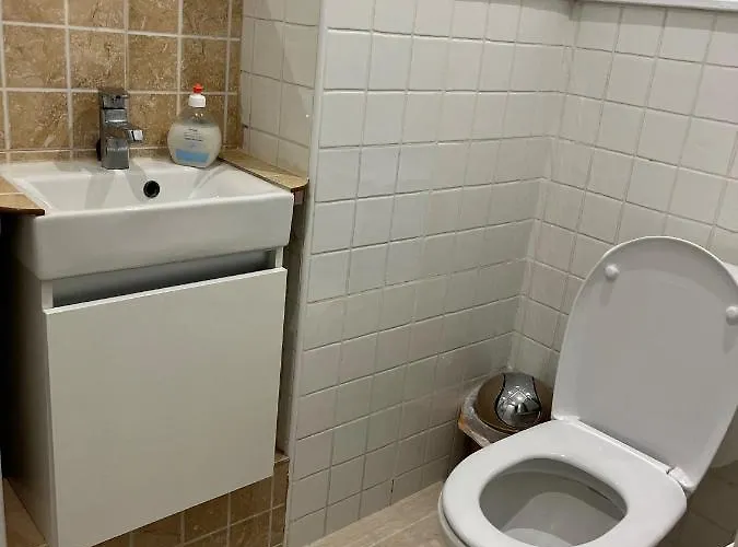 Danesa 埃斯特波纳